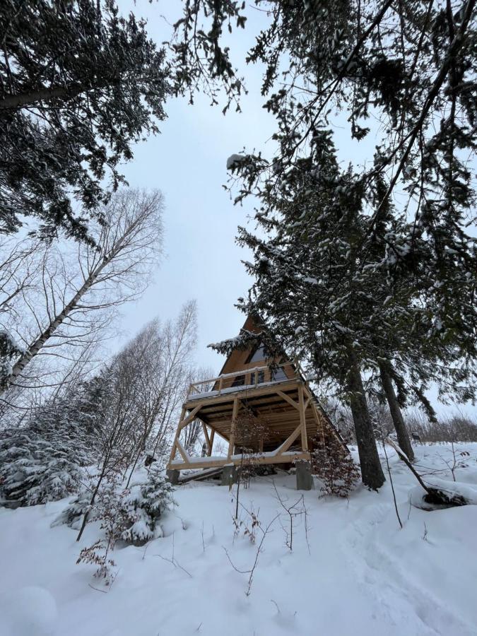 схованка Holiday home