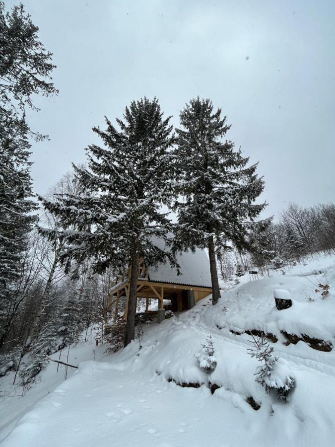 Holiday home схованка Yaremche