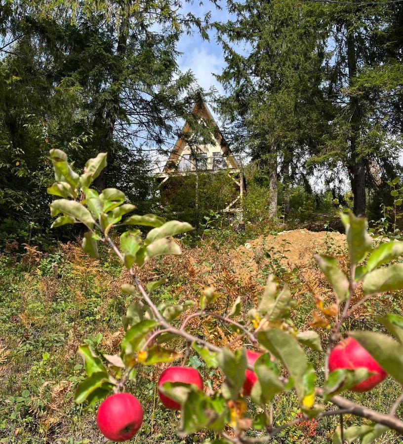 Holiday home схованка Yaremche