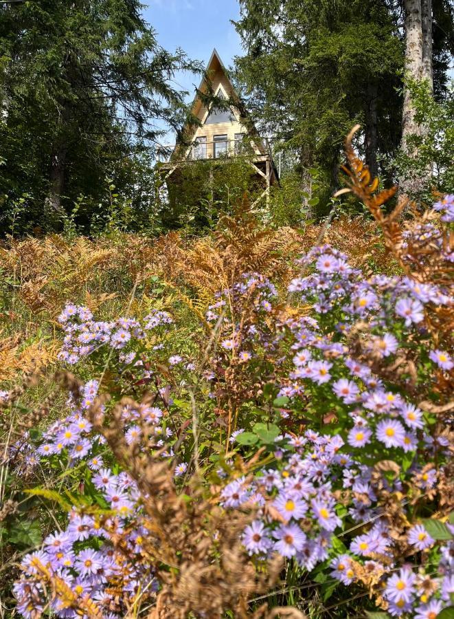 схованка Holiday home Yaremche