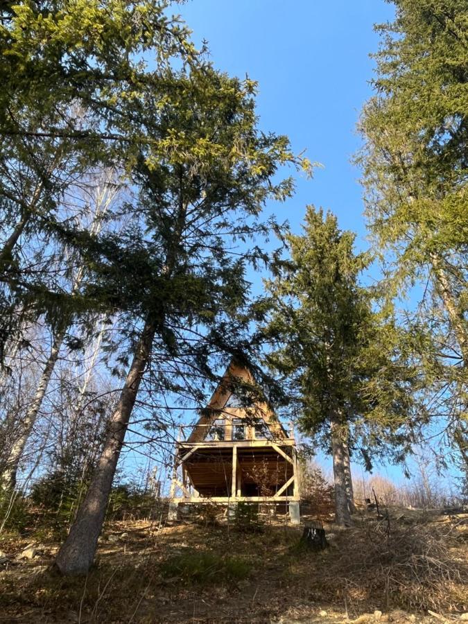 схованка Holiday home Yaremche